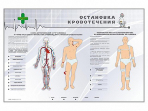 Электрифицированный стенд "Остановка кровотечения" - fgospostavki.ru - Уссурийск