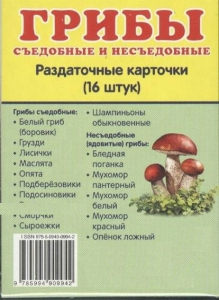 Раздаточные карточки "Грибы съедобные и не съедобные" - fgospostavki.ru - Уссурийск