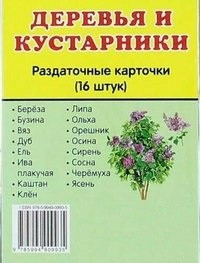 Раздаточные карточки "Деревья и кустарники" - fgospostavki.ru - Уссурийск