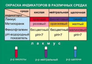 Таблица. Окраска индикаторов в различных средах. - fgospostavki.ru - Уссурийск