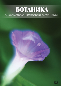 DVD "Ботаника. Знакомство с цветковыми растениями" - fgospostavki.ru - Уссурийск