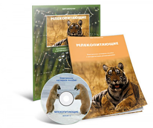 Электронное наглядное пособие «Млекопитающие» - fgospostavki.ru - Уссурийск