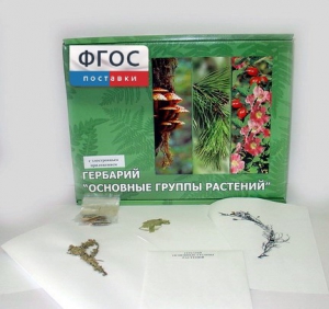 Гербарий "Основные группы растений" (52 листа) - fgospostavki.ru - Уссурийск