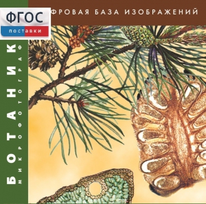 Ботаника. Микрофотографии. (Цифровая база изображений) - fgospostavki.ru - Уссурийск