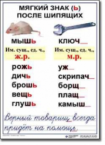 Комплект таблиц по русскому языку для начальной школы. Русский язык 3 класс - fgospostavki.ru - Уссурийск