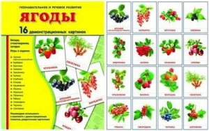 Демонстрационные карточки "Ягоды" - fgospostavki.ru - Уссурийск