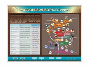 Интерактивный электрифицированный стенд "Эволюция животного мира" - fgospostavki.ru - Уссурийск
