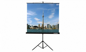 Проекционный экран на штативе Lumien Eco View (LEV-100105) 160x160 см - fgospostavki.ru - Уссурийск