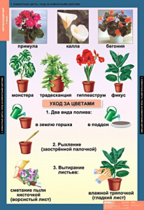 Комплект таблиц. Окружающий мир 1 класс. - fgospostavki.ru - Уссурийск