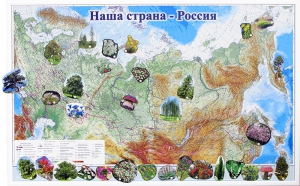 Магнитные карточки "Растения" - fgospostavki.ru - Уссурийск