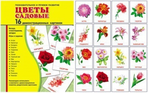 Демонстрационные карточки "Цветы садовые" - fgospostavki.ru - Уссурийск