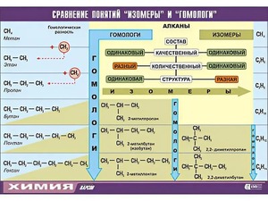 Таблица демонстрационная "Сравнение понятий изомер и гомолог" (винил 100x140) - fgospostavki.ru - Уссурийск