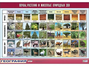 Таблица демонстрационная "Почвы, растения и животные природных зон" (винил 70*100) - fgospostavki.ru - Уссурийск