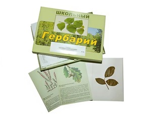 Гербарий "Дикорастущие растения" (30 видов, с иллюстрациями) - fgospostavki.ru - Уссурийск