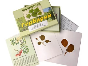 Гербарий "Систематика растений. Семейство Розоцветные" (раздаточный) - fgospostavki.ru - Уссурийск