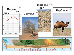 Модель-аппликация "Природные зоны" - fgospostavki.ru - Уссурийск