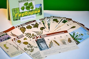 Гербарий к курсу основ общей биологии - fgospostavki.ru - Уссурийск