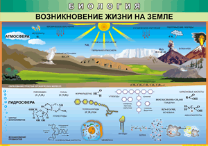 Таблица "Возникновение жизни на земле" (100х140 сантиметров, винил) - fgospostavki.ru - Уссурийск