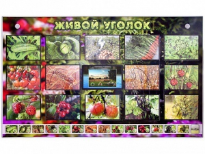 Комплект оборудования "Живой уголок" (растения) с тифлопереводом и сурдокомментариями - fgospostavki.ru - Уссурийск