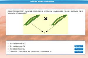 Интерактивные курсы. Биология 11 класс. Базовый. - fgospostavki.ru - Уссурийск