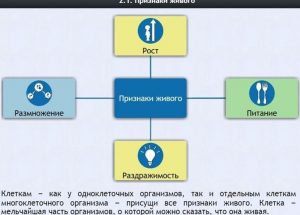 Интерактивные курсы. Биология 5 класс. Базовый - fgospostavki.ru - Уссурийск