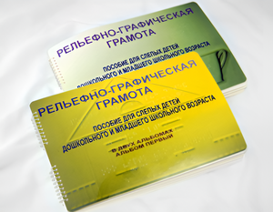 Пособие для слабовидящих детей - Рельефно-графическая грамота для слепых детей дошкольного и младшего школьного возраста - fgospostavki.ru - Уссурийск
