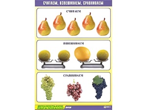 Таблица демонстрационная "Считаем, взвешиваем, сравниваем" (винил 70x100) - fgospostavki.ru - Уссурийск