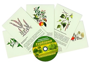 Интерактивный наглядный комплекс "Гербарий "Для начальной школы" - fgospostavki.ru - Уссурийск