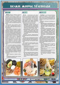 Стенд "Белки. Жиры. Углеводы" - fgospostavki.ru - Уссурийск