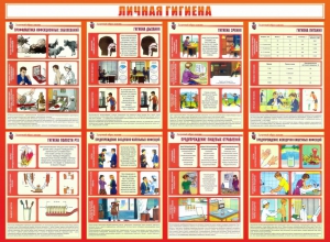 Стенд "Личная гигиена" - fgospostavki.ru - Уссурийск
