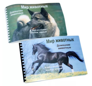 Пособие для слабовидящих - Домашние животные - fgospostavki.ru - Уссурийск