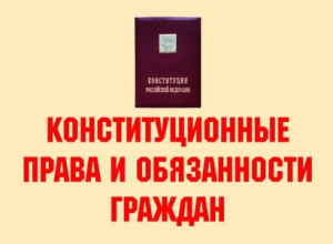 Комплект плакатов "Конституционные права и обязанности граждан" - fgospostavki.ru - Уссурийск