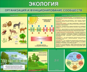 Стенд "Экология. Организация и функционирование сообществ" - fgospostavki.ru - Уссурийск