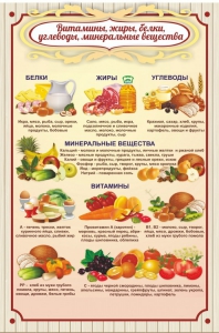 Стенд "Витамины, жиры, белки" - fgospostavki.ru - Уссурийск