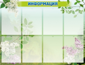 Стенд "Информация" Вариант 13 - fgospostavki.ru - Уссурийск