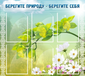 Стенд "Берегите природу - берегите себя" - fgospostavki.ru - Уссурийск