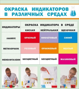 Стенд "Окраска индикаторов в различных средах" - fgospostavki.ru - Уссурийск
