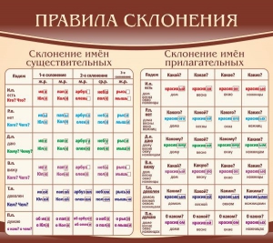 Стенд "Правила склонения" - fgospostavki.ru - Уссурийск