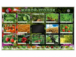 Комплект оборудования "Живой уголок" (растения) - fgospostavki.ru - Уссурийск