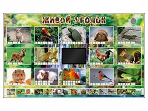 Комплект оборудования "Живой уголок" (животные) - fgospostavki.ru - Уссурийск