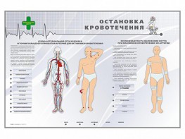 Электрифицированный стенд "Остановка кровотечения" - fgospostavki.ru - Уссурийск