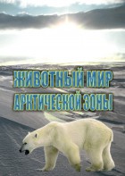 DVD "Животный мир Арктической зоны" - fgospostavki.ru - Уссурийск