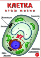 DVD "Клетка - "атом жизни" - fgospostavki.ru - Уссурийск