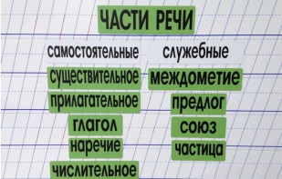 Набор магнитных карточек "Части речи" (фон зелёный) - fgospostavki.ru - Уссурийск