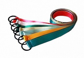 Лента гимнастическая на кольце (0,5 метра) - fgospostavki.ru - Уссурийск
