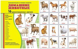 Демонстрационные карточки "Домашние животные" - fgospostavki.ru - Уссурийск