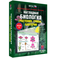 Наглядная биология. 6 класс. Растения. Грибы. Бактерии - fgospostavki.ru - Уссурийск