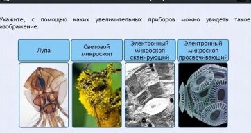 Интерактивные курсы. Биология 5 класс. Расширенный - fgospostavki.ru - Уссурийск