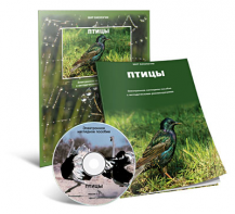 Электронное наглядное пособие «Птицы» - fgospostavki.ru - Уссурийск