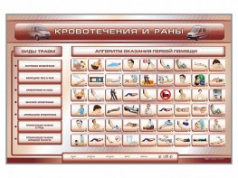 Трехсекционный базовый комплект "Травмы. Кровотечения. Ожоги" для учащихся общеобразовательных учреждений - fgospostavki.ru - Уссурийск